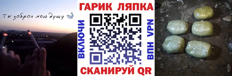 ГАШ Premium Купить где Ейск