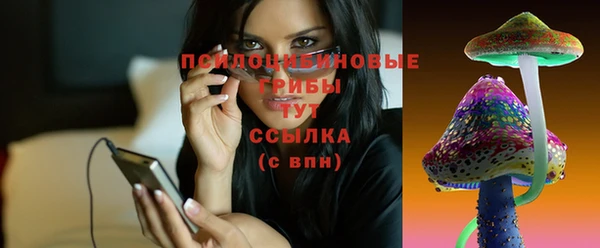 МДПВ Иннополис
