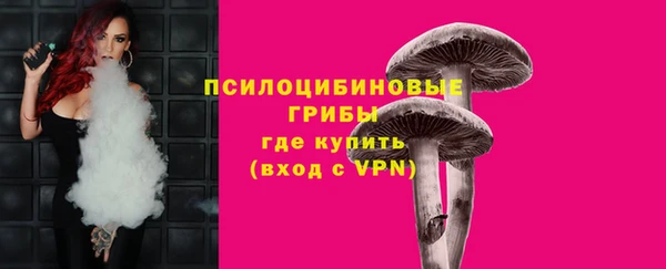 МДПВ Иннополис