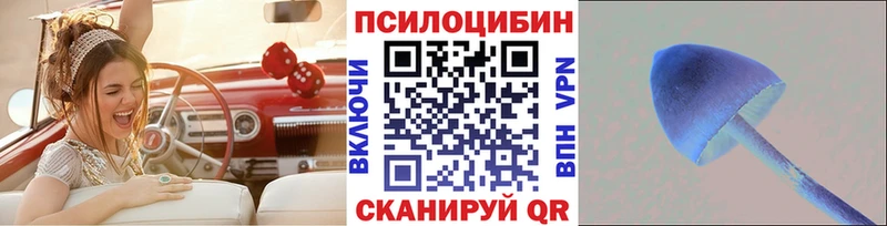 Купить  Ейск  Галлюциногенные грибы Magic Shrooms 